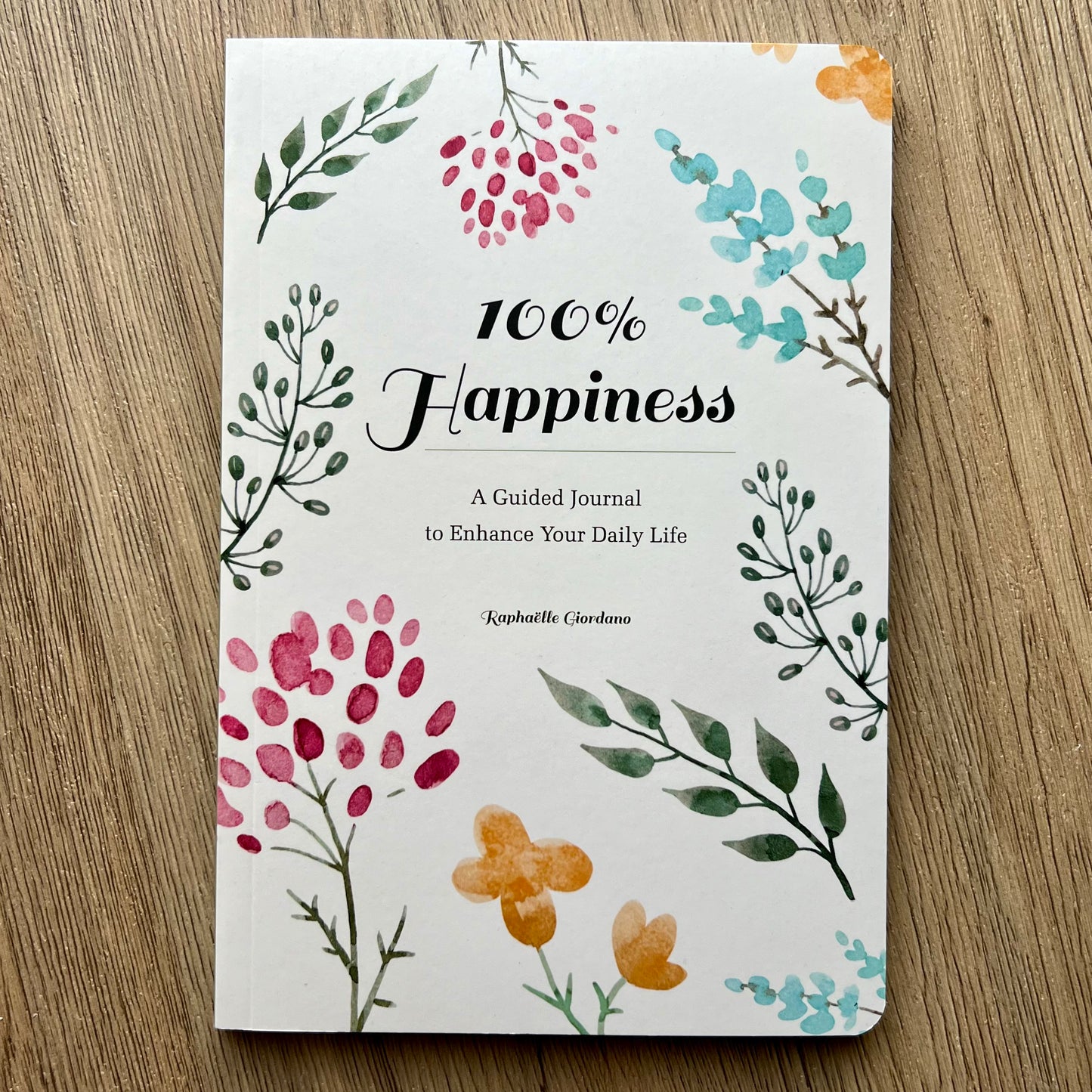 100%happinessjournal