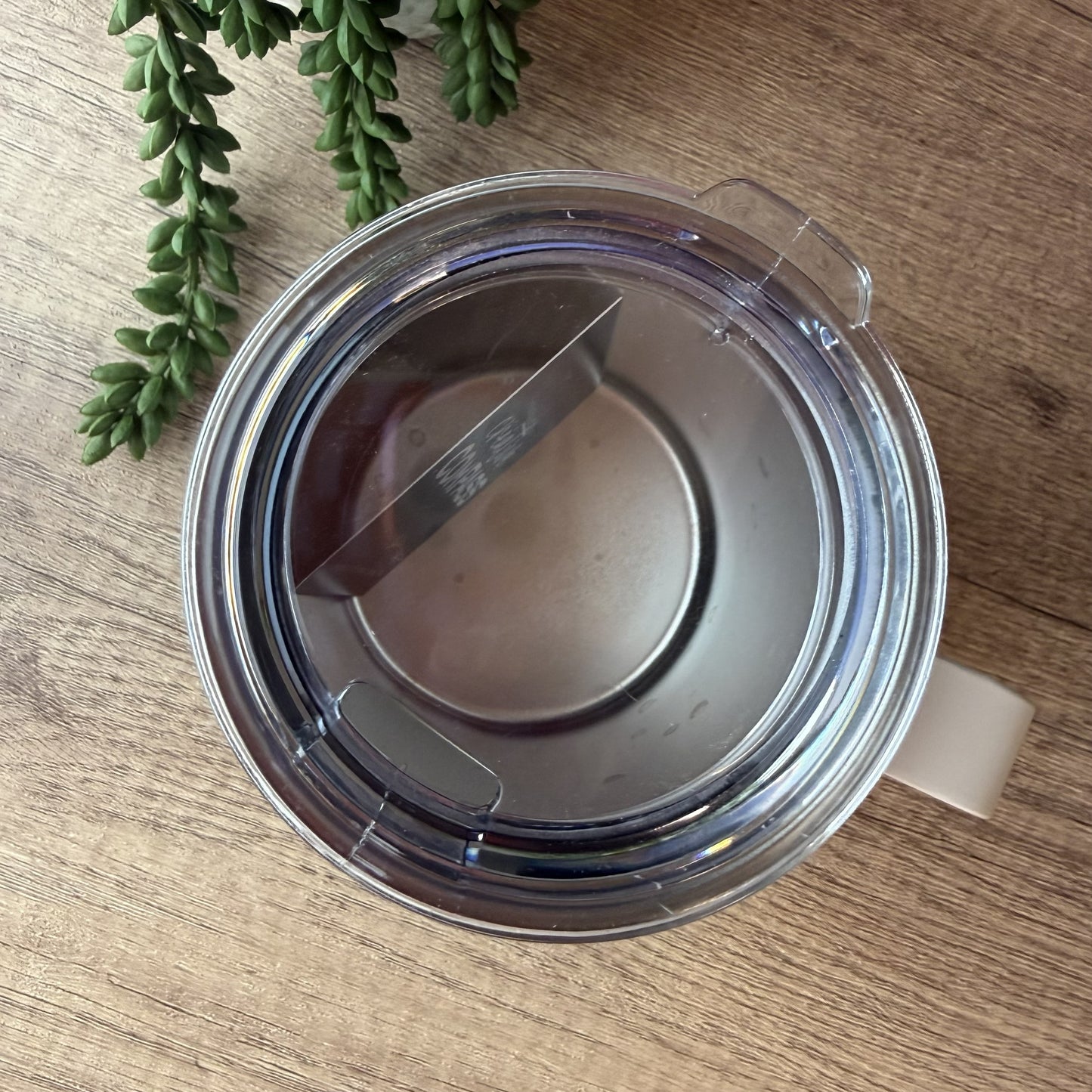 A clear plastic blender jar lid with a stainless steel blade visible inside, placed on a wooden tabletop with green plant leaves in the corner.