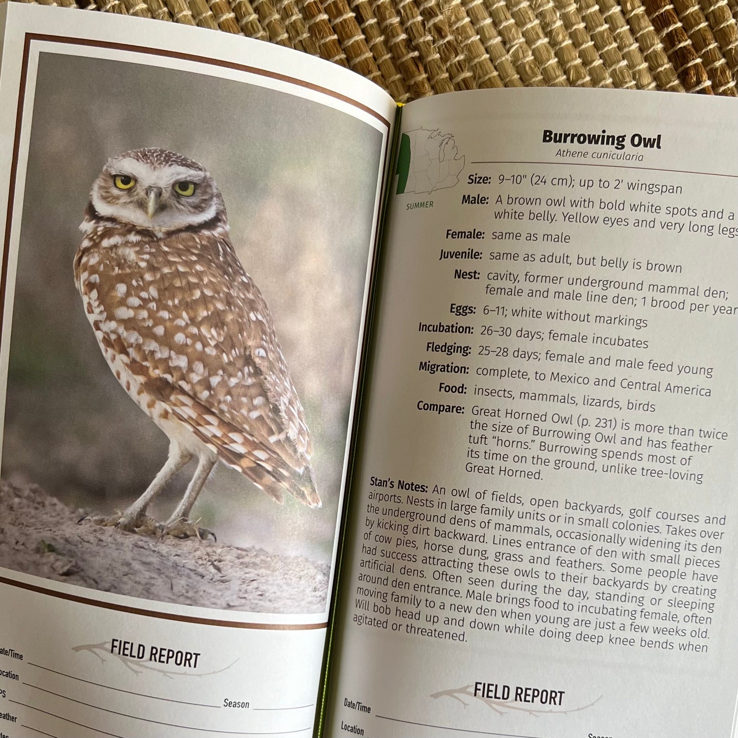 Midwest Birding Companion by Stan Tekiela