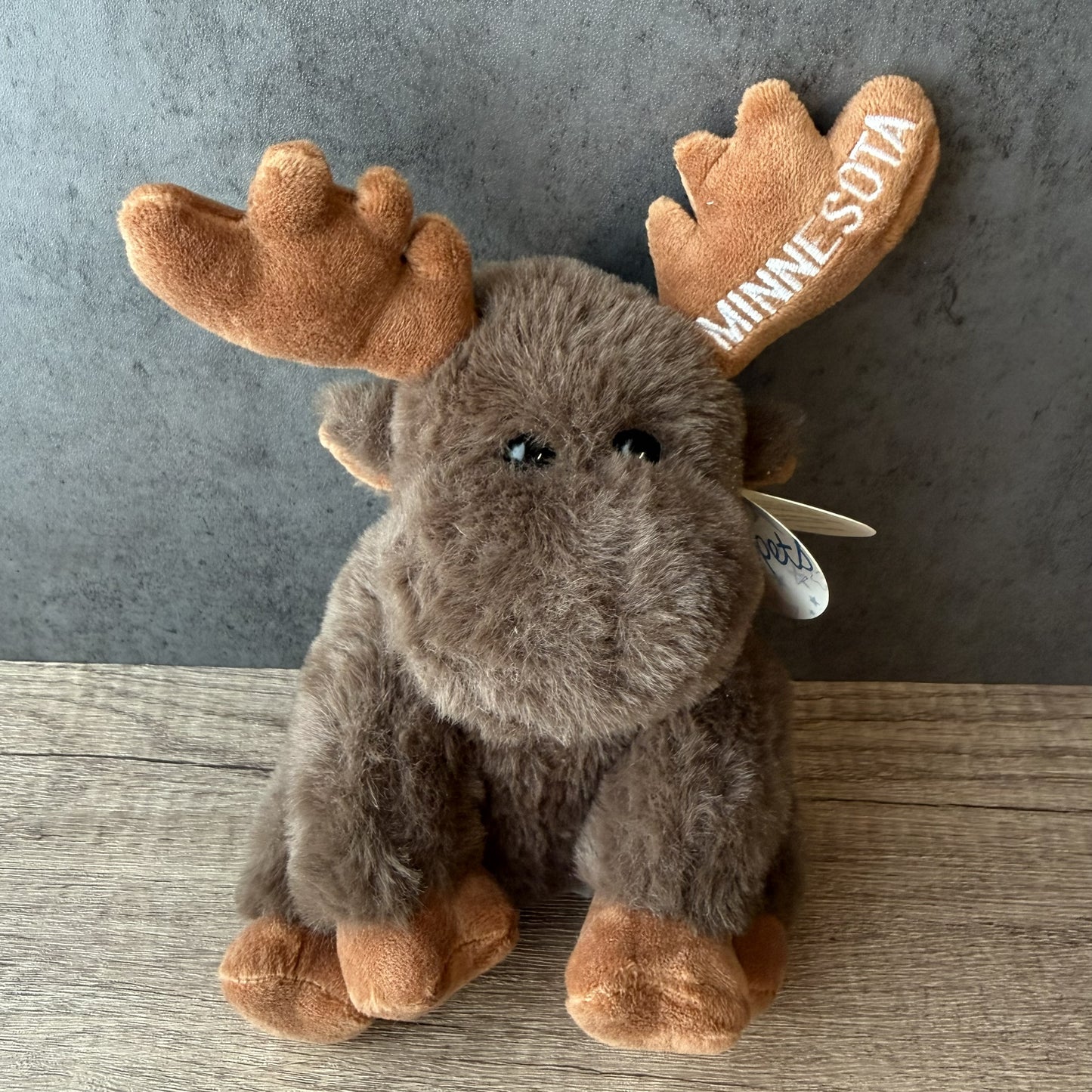 A plush toy moose sitting on a wooden surface against a dark gray wall. The toy is brown with tan antlers, one of which has the words 'MINNE SOTA' embroidered on it.