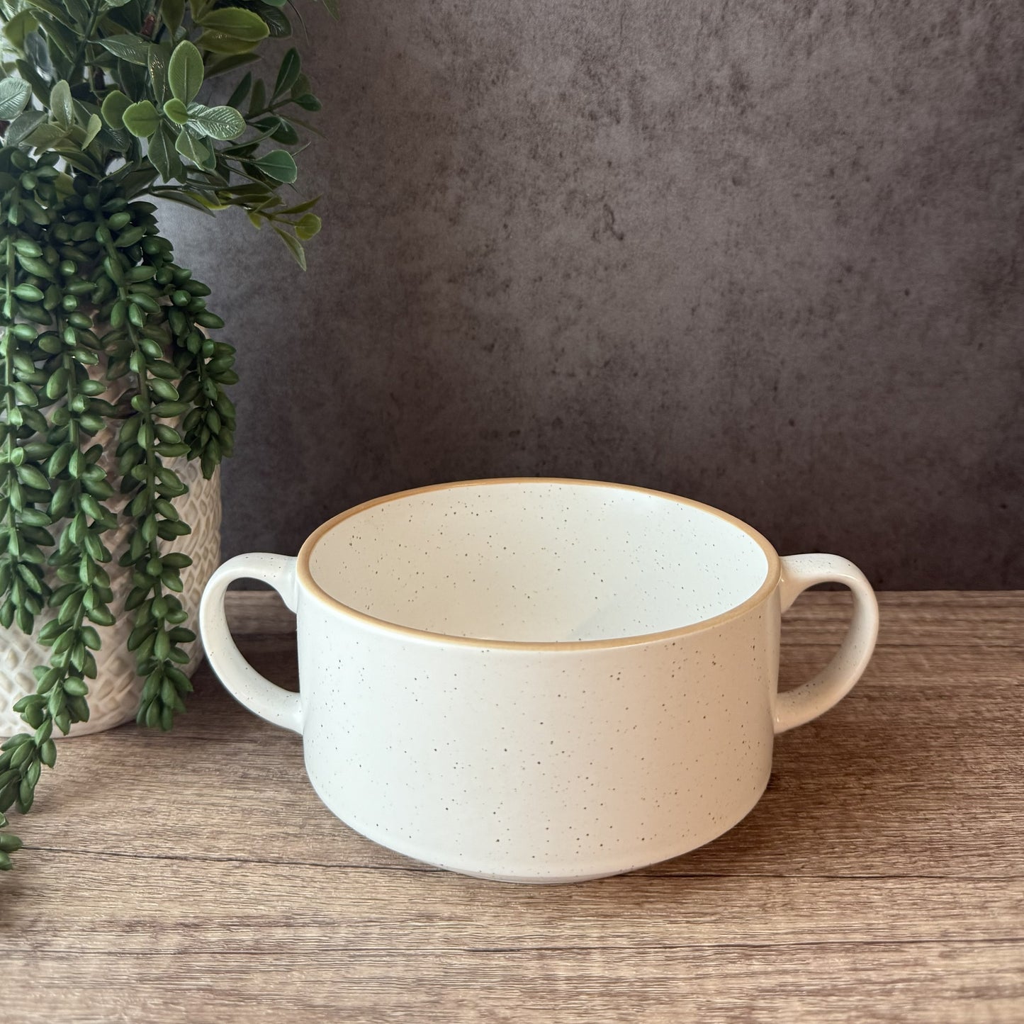 An off-white ceramic bowl with two side handles and a subtle gold rim, placed on a wooden surface with a textured gray wall and a potted trailing green plant in the background.